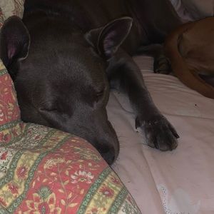 Meet your Posher, Cheryl